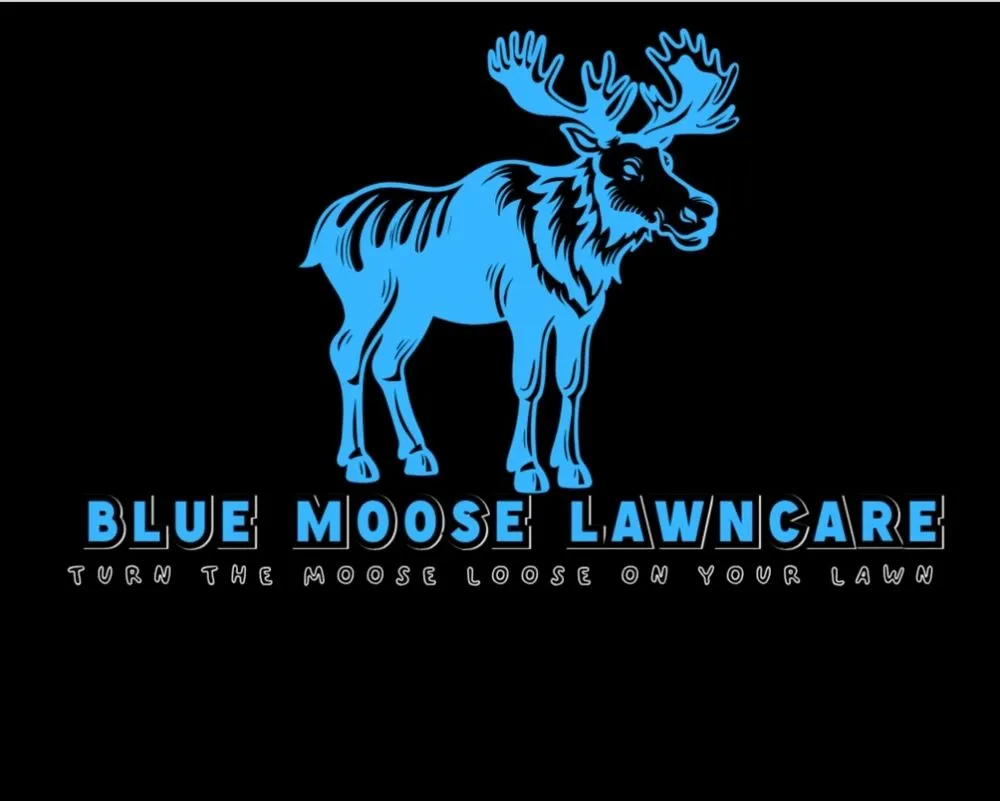 Reliable garden landscaping in Normandy, TN - Blue Moose Lawncare