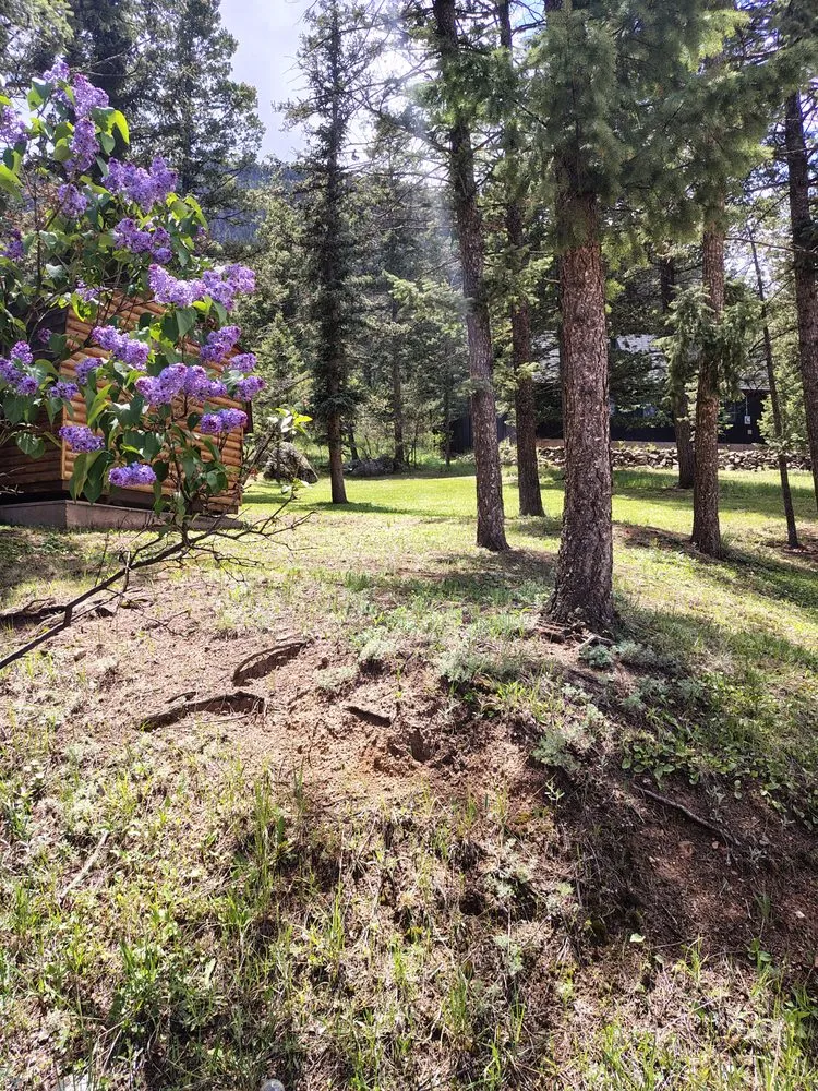 Affordable garden landscaping with custom design in Lake George, CO by Blue Mountain Home Services