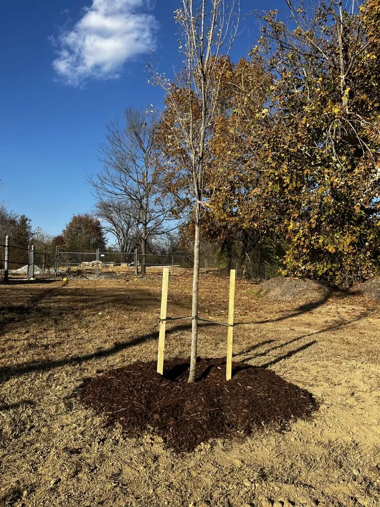 Custom lawn mowing service in Chattanooga, TN by Blue Mountain Landscape and Excavation