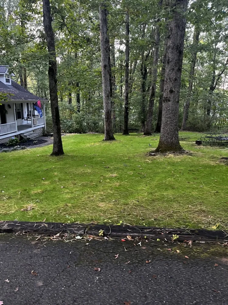 Local lawn care service experts serving Chattanooga, TN - Blue Mountain Landscape and Excavation