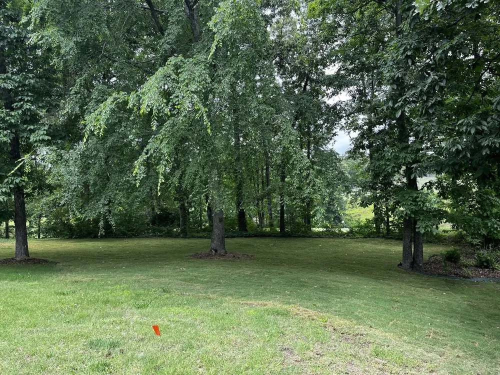 Trusted yard maintenance in Chattanooga, TN by Blue Mountain Landscape and Excavation