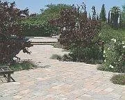 Affordable lawn mowing service in Frederick, CO - Blue Mountain Landscape