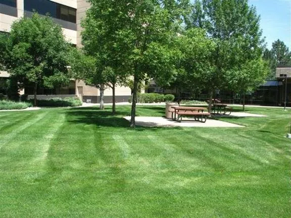Local residential landscaping for outdoor upgrades across Frederick, CO - Blue Mountain Landscape