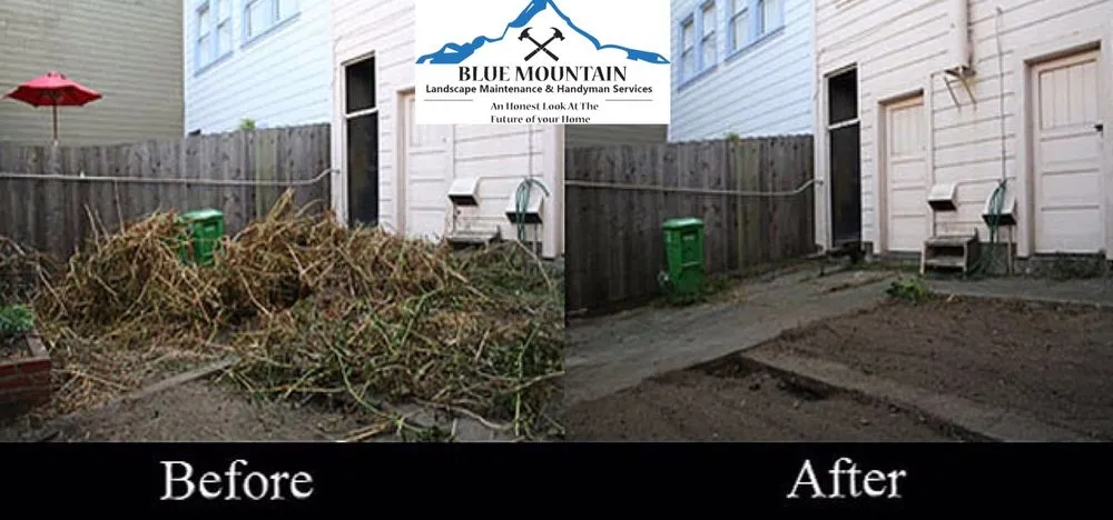 Custom yard cleanup service for residential properties across Carson City, NV - Blue Mountain Landscape Maintenance