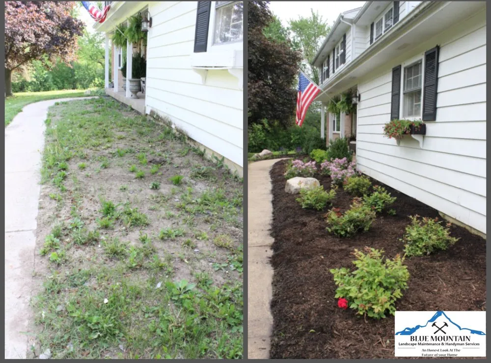 Top-rated residential landscaping for residential properties across Carson City, NV - Blue Mountain Landscape Maintenance