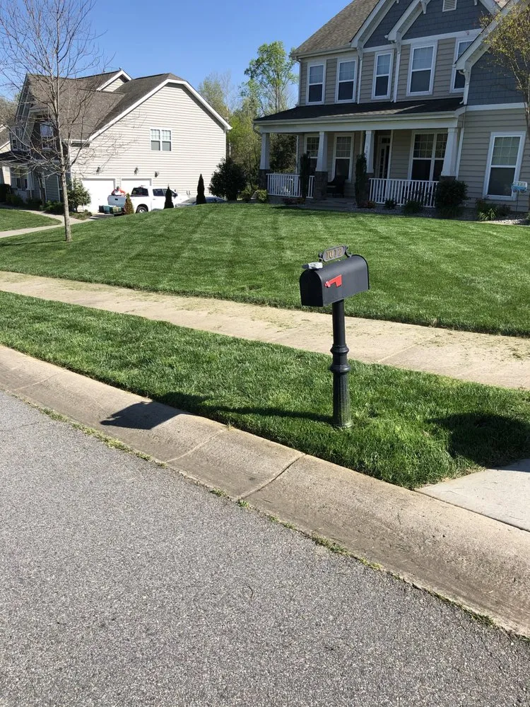 Expert landscaping services for beautiful yards across Kannapolis, NC - Blue Mountain Landscaping