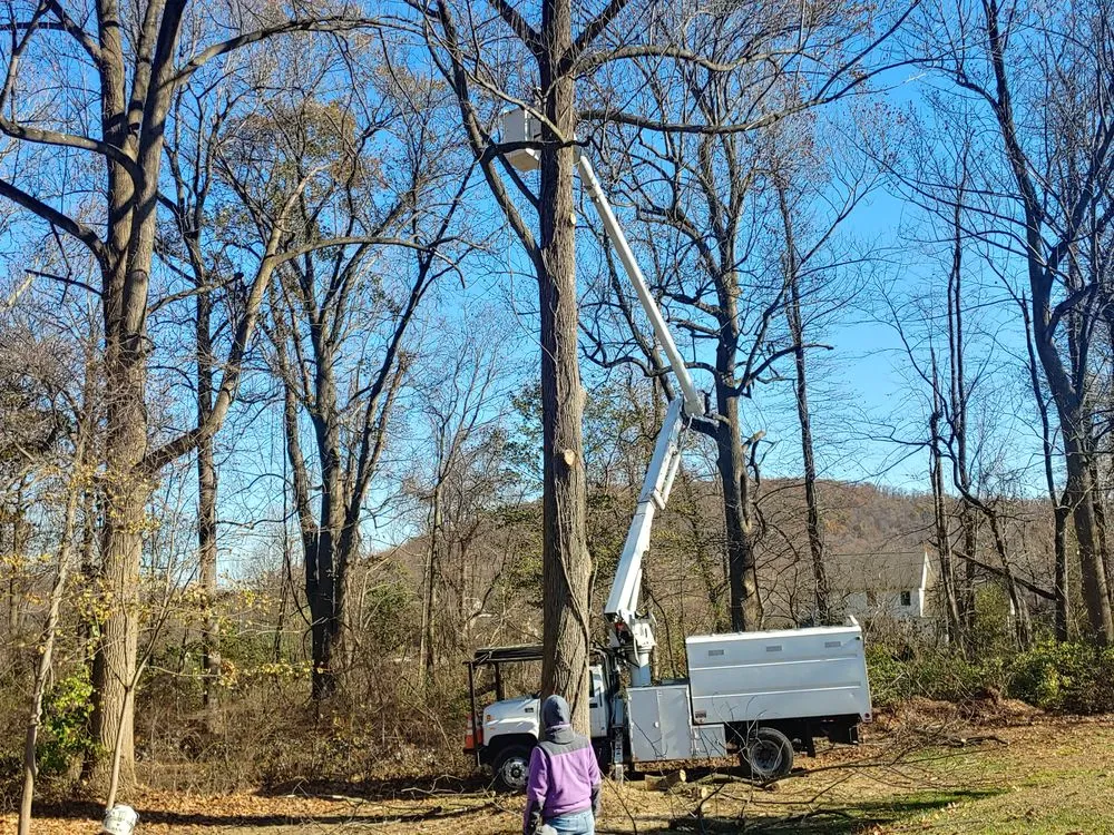 Reliable lawn care service with custom design in Lewisberry, PA by Blue Mountain Services