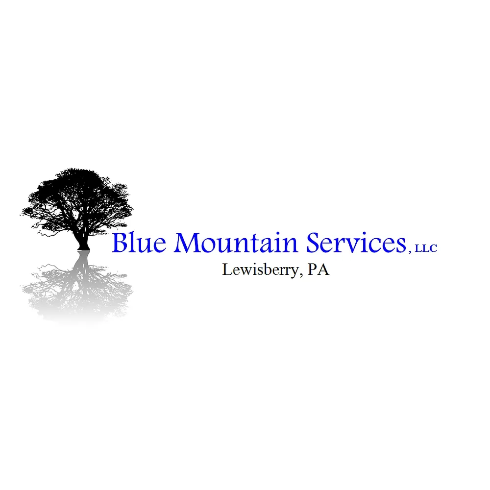 Custom landscape design experts serving Lewisberry, PA - Blue Mountain Services