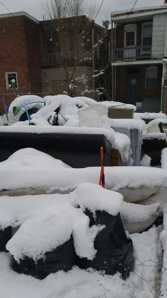 Local yard maintenance in Lewisberry, PA - Blue Mountain Services