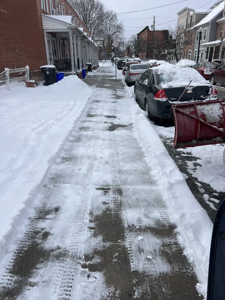 Trusted yard maintenance in Lewisberry, PA - Blue Mountain Services