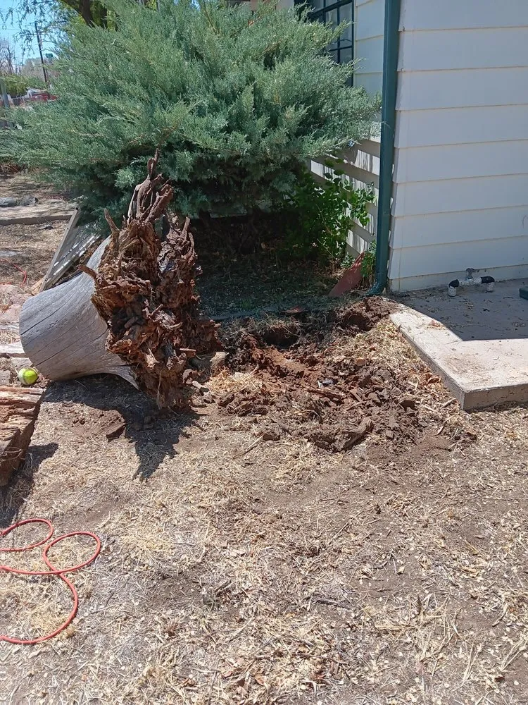 Affordable landscape design experts serving Silver City, NM - Blue Mule Landscaping