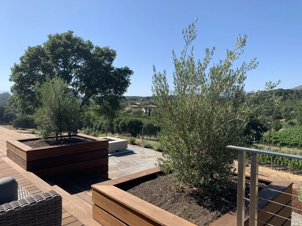 Expert lawn mowing service in Santa Rosa, CA by Blue Oak Landscape Contractor