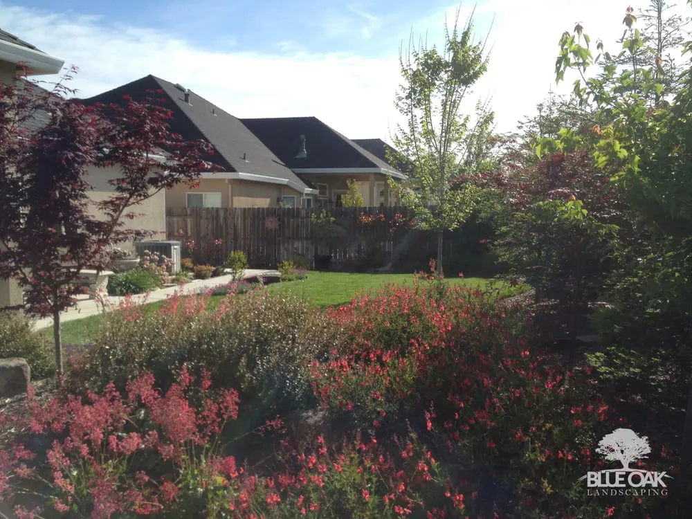 Expert yard cleanup service for residential properties in Chico, CA by Blue Oak Landscaping