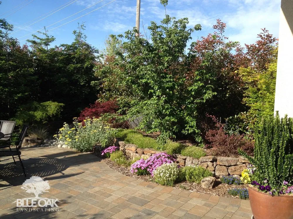 Reliable landscaping services experts serving Chico, CA - Blue Oak Landscaping