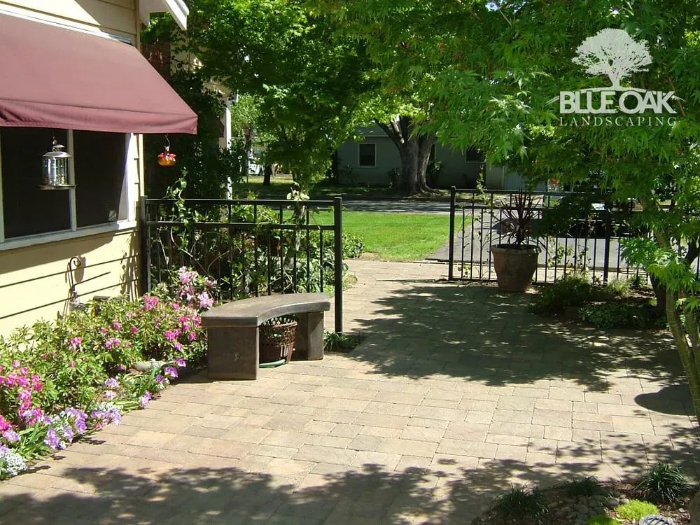 Expert lawn care service in Chico, CA by Blue Oak Landscaping