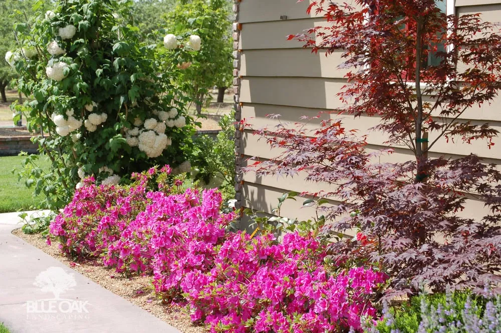 Local residential landscaping for homes across Chico, CA - Blue Oak Landscaping