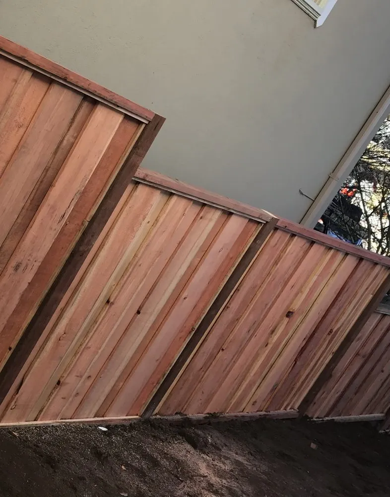 Professional outdoor landscaping for year-round maintenance in Menlo Park, CA by Blue Oak Landscaping