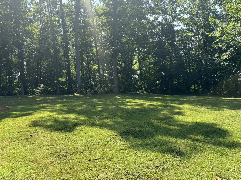 Custom yard cleanup service experts serving Culpeper, VA - Blue Oak Lawn & Landscaping