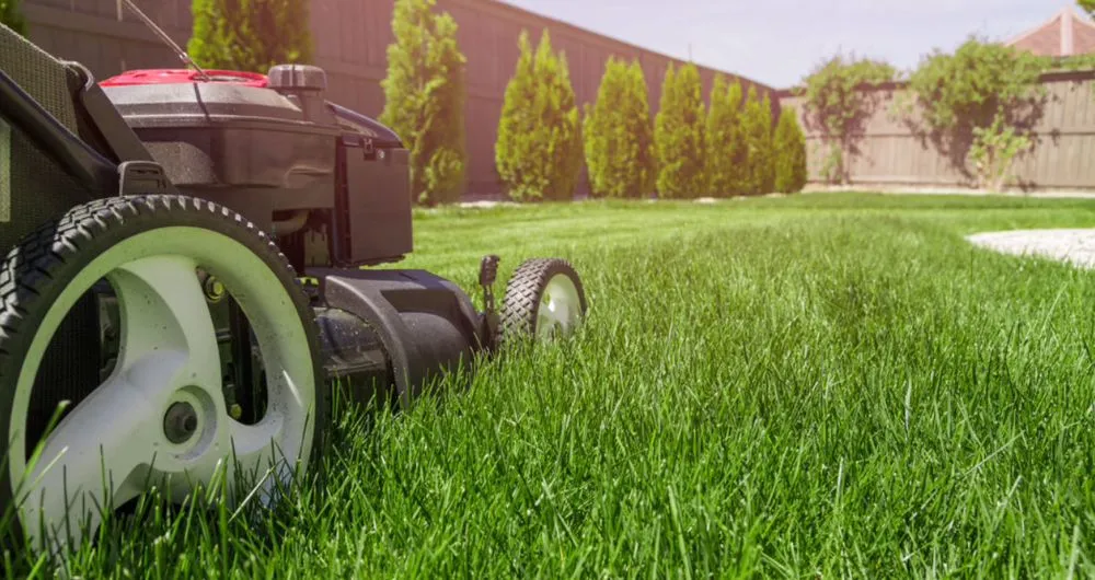 Custom yard cleanup service for beautiful yards across Culpeper, VA - Blue Oak Lawn & Landscaping