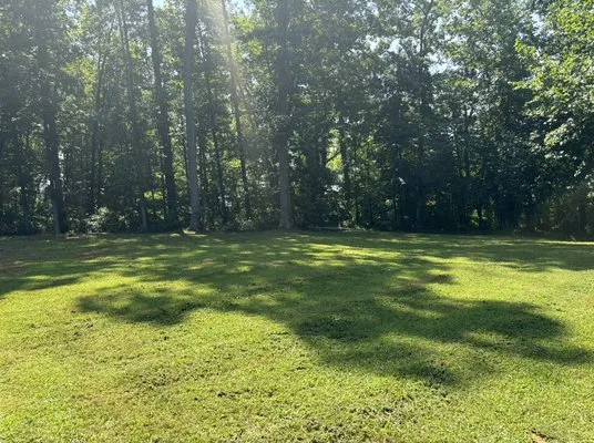 Blue Oak Lawn & Landscaping Logo