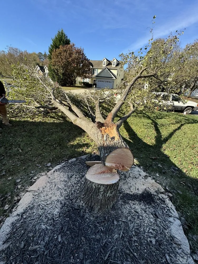 Reliable landscape installation for residential properties in Greensboro, NC by Blue Oaks Tree Service