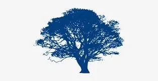 Expert landscape installation experts serving Greensboro, NC - Blue Oaks Tree Service