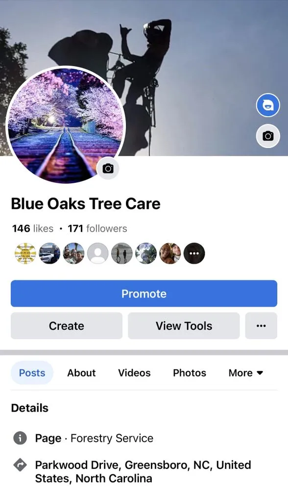 Affordable outdoor landscaping in Greensboro, NC - Blue Oaks Tree Service