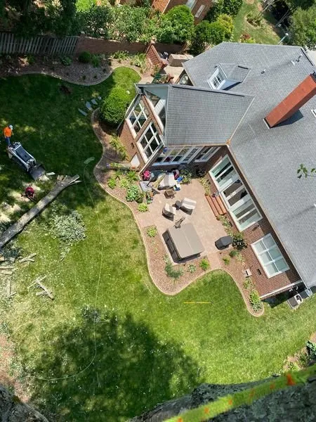 Top-rated yard cleanup service for beautiful yards across Greensboro, NC - Blue Oaks Tree Service