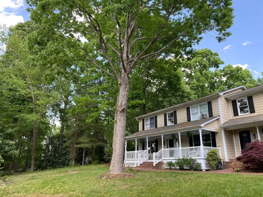 Reliable lawn care service in Greensboro, NC by Blue Oaks Tree Service