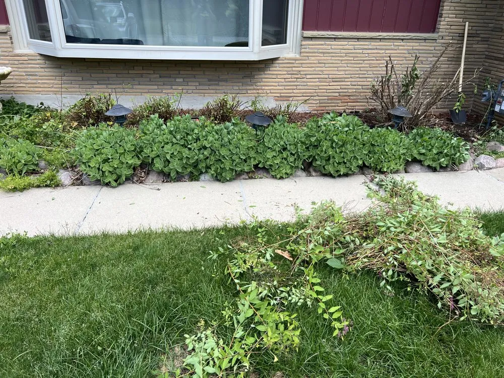 Expert outdoor landscaping in Muskego, WI - Blue Oasis Lawn and Home Care