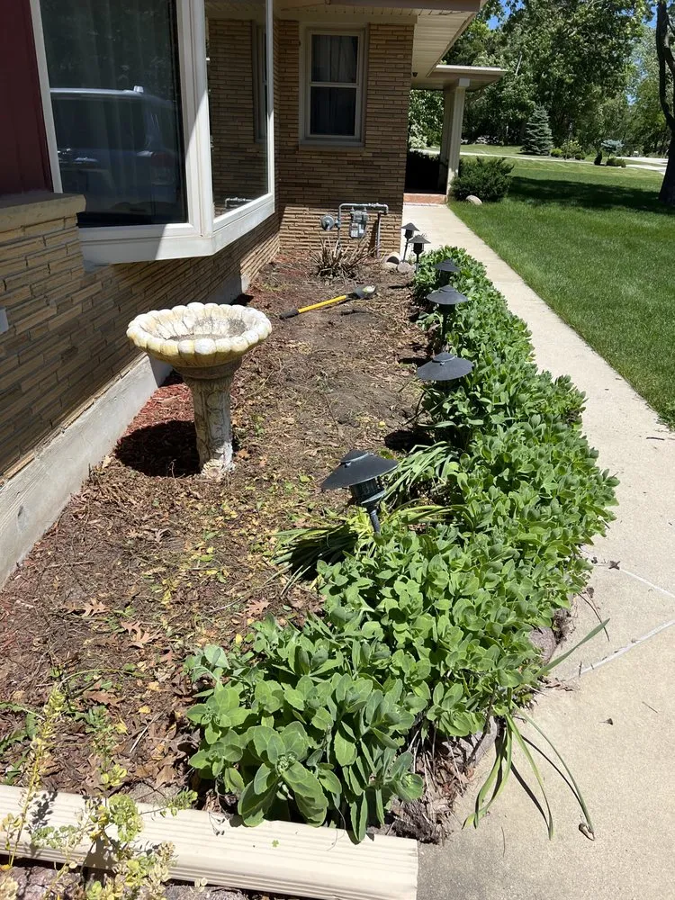 Trusted lawn mowing service in Muskego, WI by Blue Oasis Lawn and Home Care