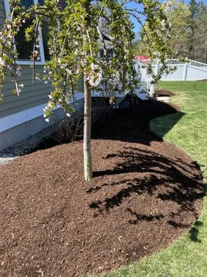 Blue Ocean Landscaping & Hardscaping