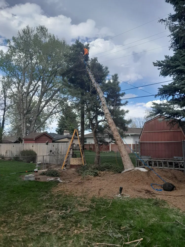 Custom residential landscaping in Englewood, CO - Blue Owl Tree Care