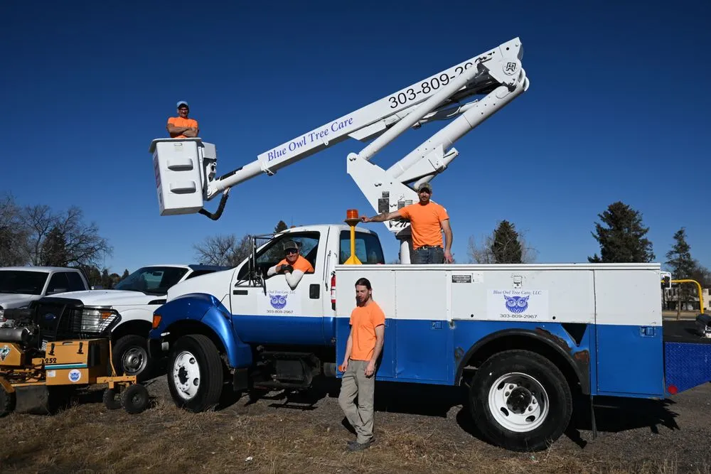 Professional landscape installation with custom design in Englewood, CO by Blue Owl Tree Care