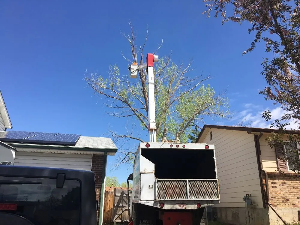 Trusted residential landscaping in Englewood, CO by Blue Owl Tree Care