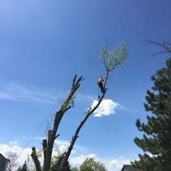 Custom landscaping services experts serving Englewood, CO - Blue Owl Tree Care