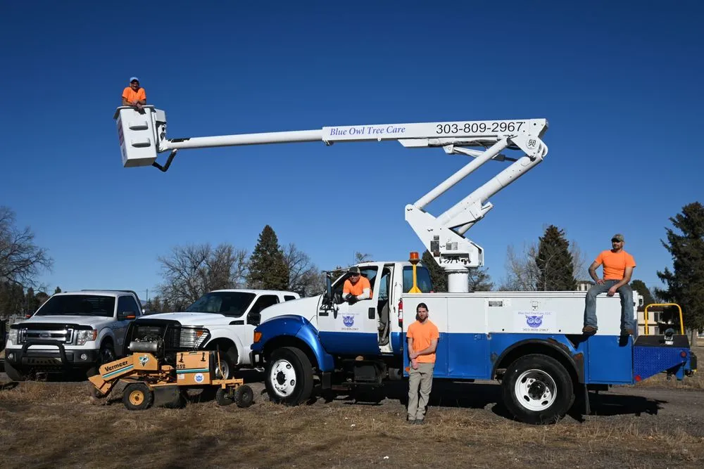 Local lawn care service in Englewood, CO by Blue Owl Tree Care