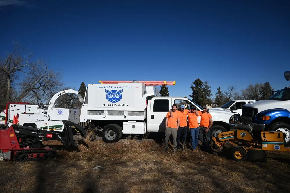 Local outdoor landscaping in Englewood, CO by Blue Owl Tree Care