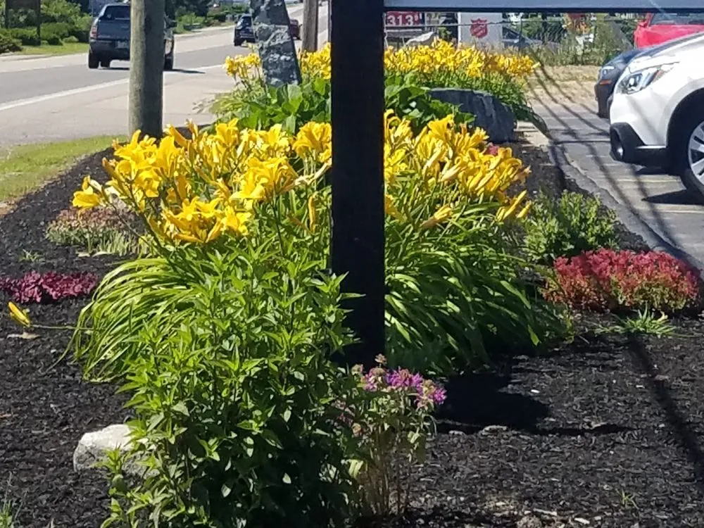 Trusted landscaping services for year-round maintenance across Greenland, NH - Blue Ox Services Landscape Construction