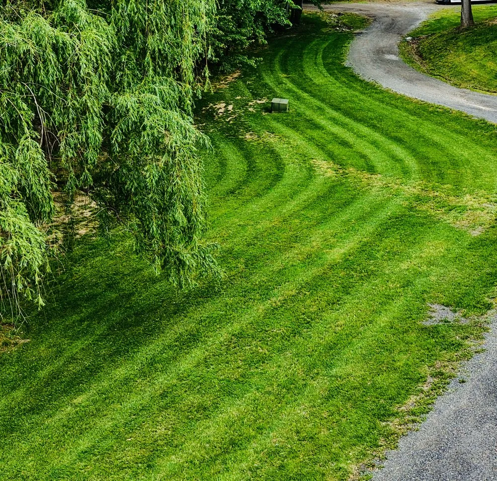 Reliable yard maintenance for outdoor upgrades in Owings, MD by Blue Palms Landscaping
