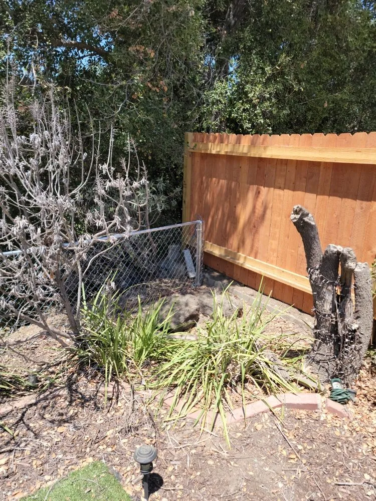 Reliable yard maintenance experts serving Oxnard, CA - Blue Phoenix Landscaping