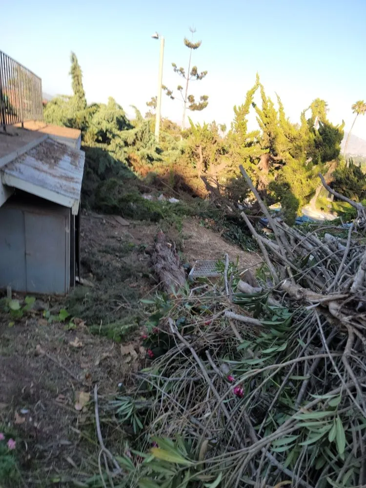 Local outdoor landscaping in Oxnard, CA - Blue Phoenix Landscaping