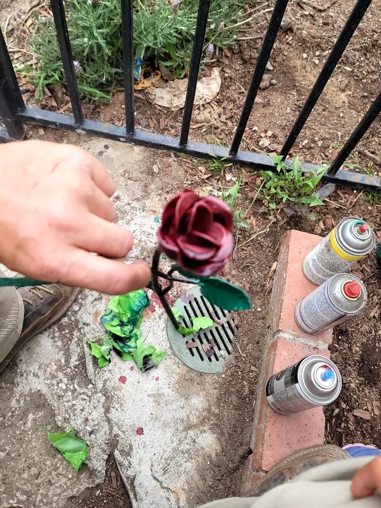 Trusted outdoor landscaping experts serving Oxnard, CA - Blue Phoenix Landscaping