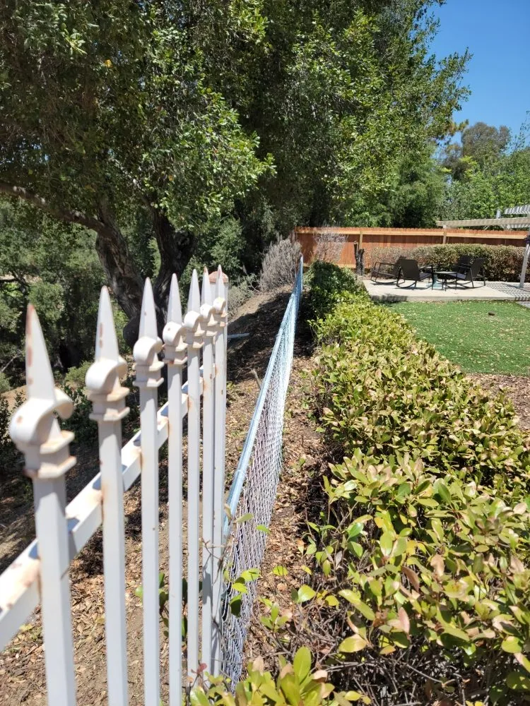 Top-rated outdoor landscaping for beautiful yards across Oxnard, CA - Blue Phoenix Landscaping
