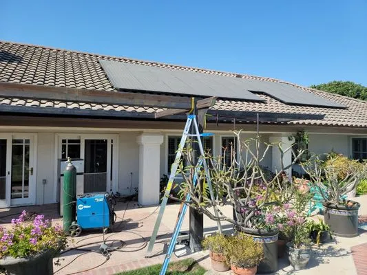 Blue Phoenix Landscaping Logo