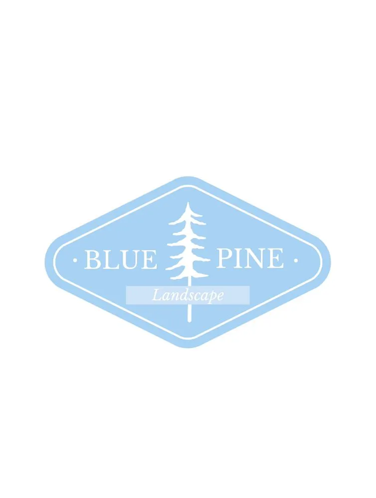 Local landscaping services in Layton, UT by Blue Pine Landscape