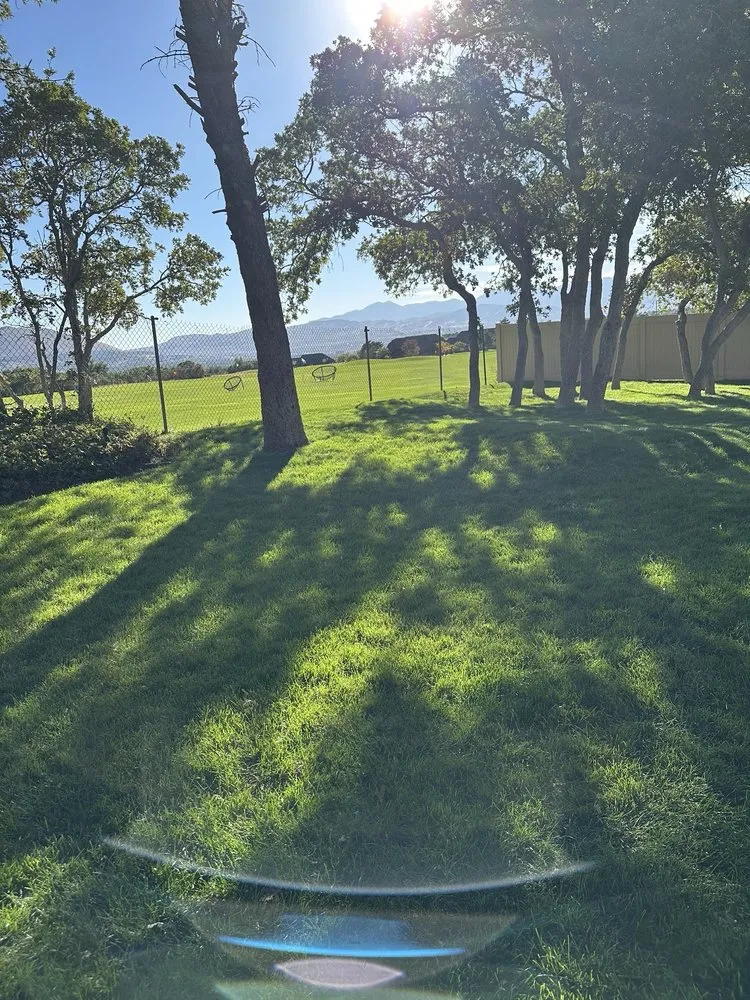 Local lawn care service experts serving West Valley City, UT - Blue Planet Lawn