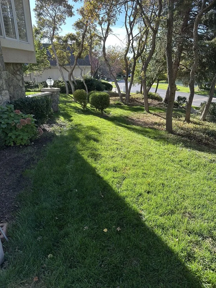 Top-rated landscaping services in West Valley City, UT - Blue Planet Lawn