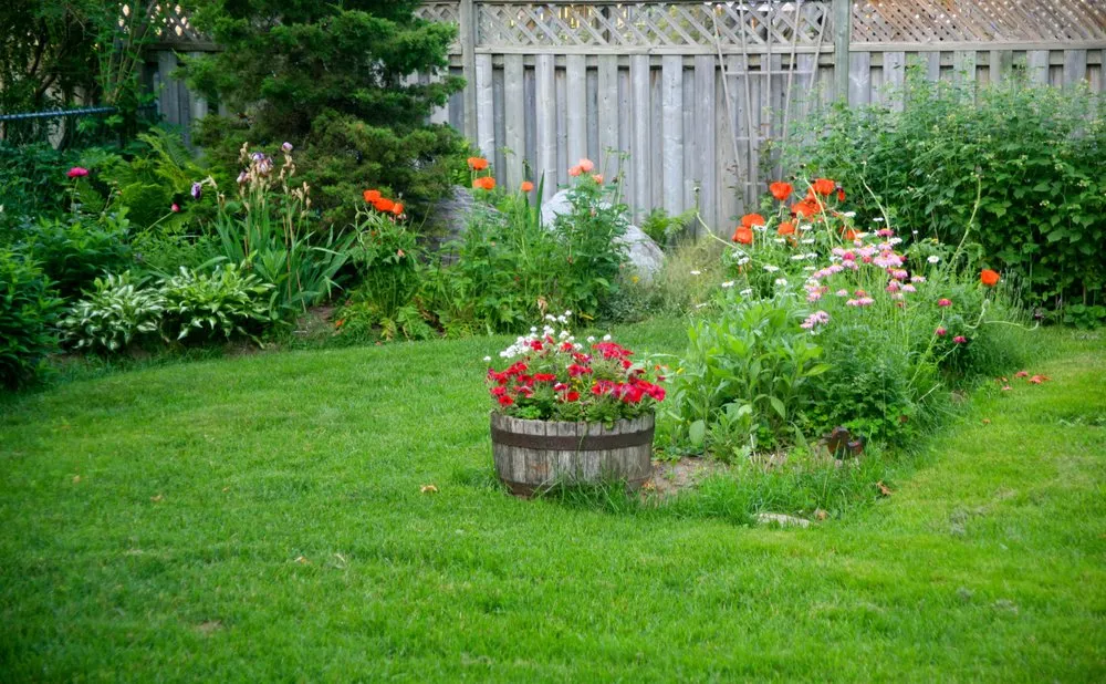 Trusted lawn care service experts serving West Valley City, UT - Blue Planet Lawn