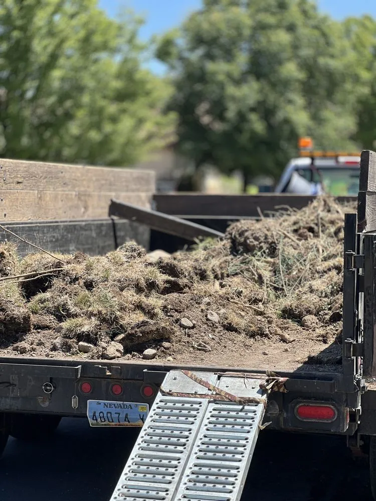 Custom landscape installation experts serving Reno, NV - Blue Planet Maintenance